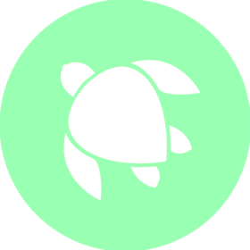 Circle Turtle Logo website